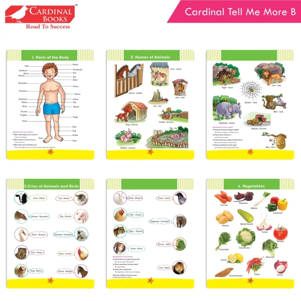 Cardinal General Knowledge Book B (Set of 3) - Image 3