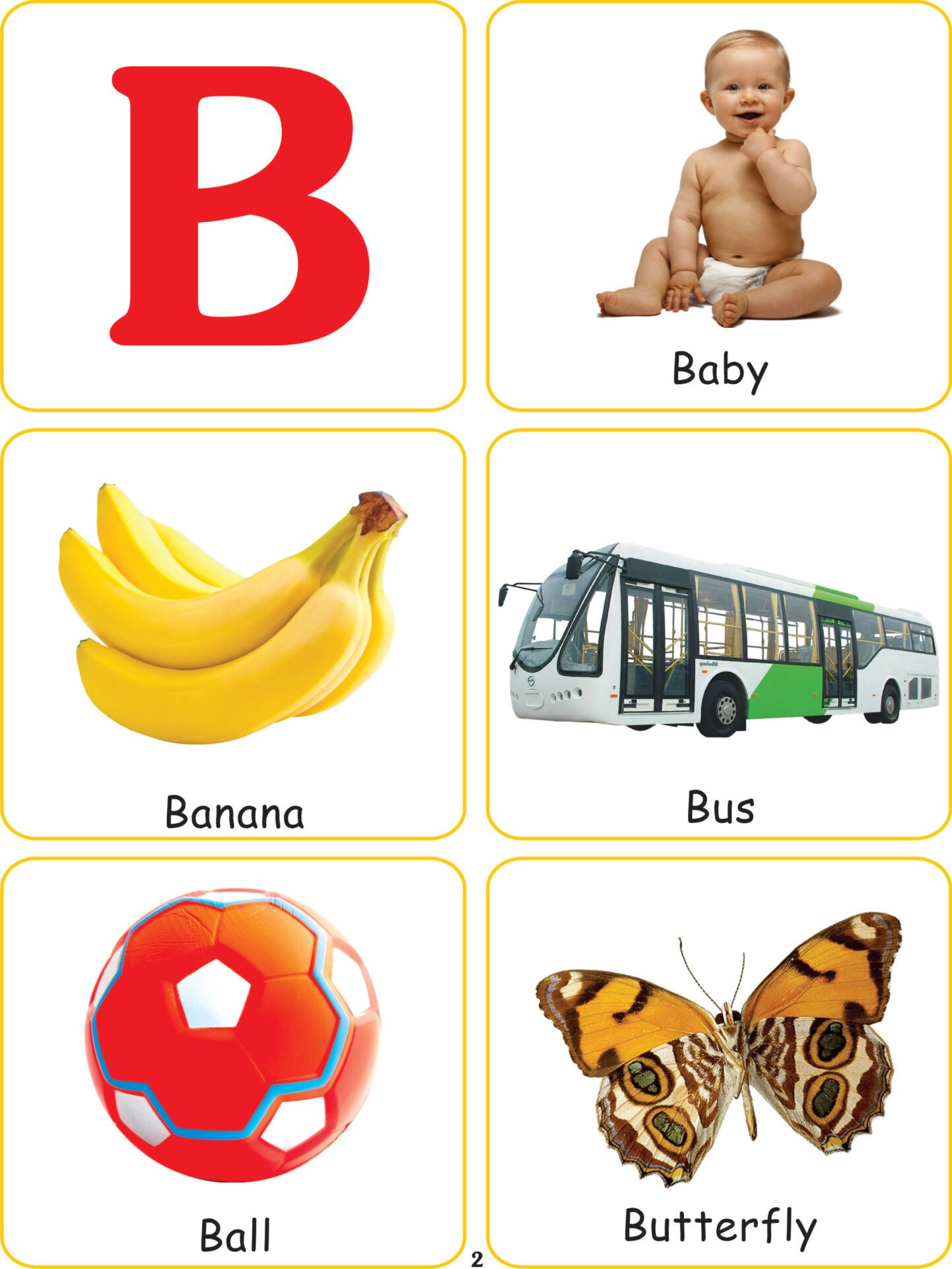 Cardinal Lets Learn ABC and General Knowledge 3 1