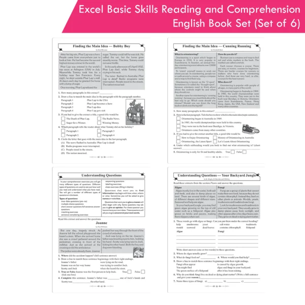 Excel Basic Skills Reading and Comprehension English Book Set (Set of 6 ...