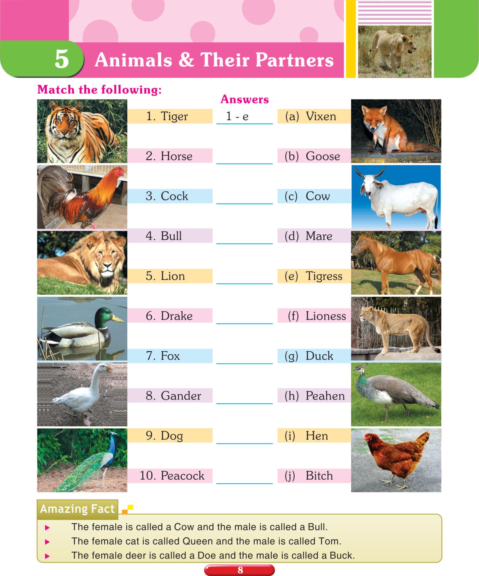 Nigam World of Knowledge 3 - Shethbooks | Official Buy Page of SHETH Publishing House Nigam World of Knowledge 3 - Shethbooks | Official Buy Page of SHETH Publishing House