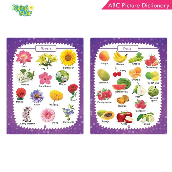 Rising Star ABC Picture Dictionary - Image 7