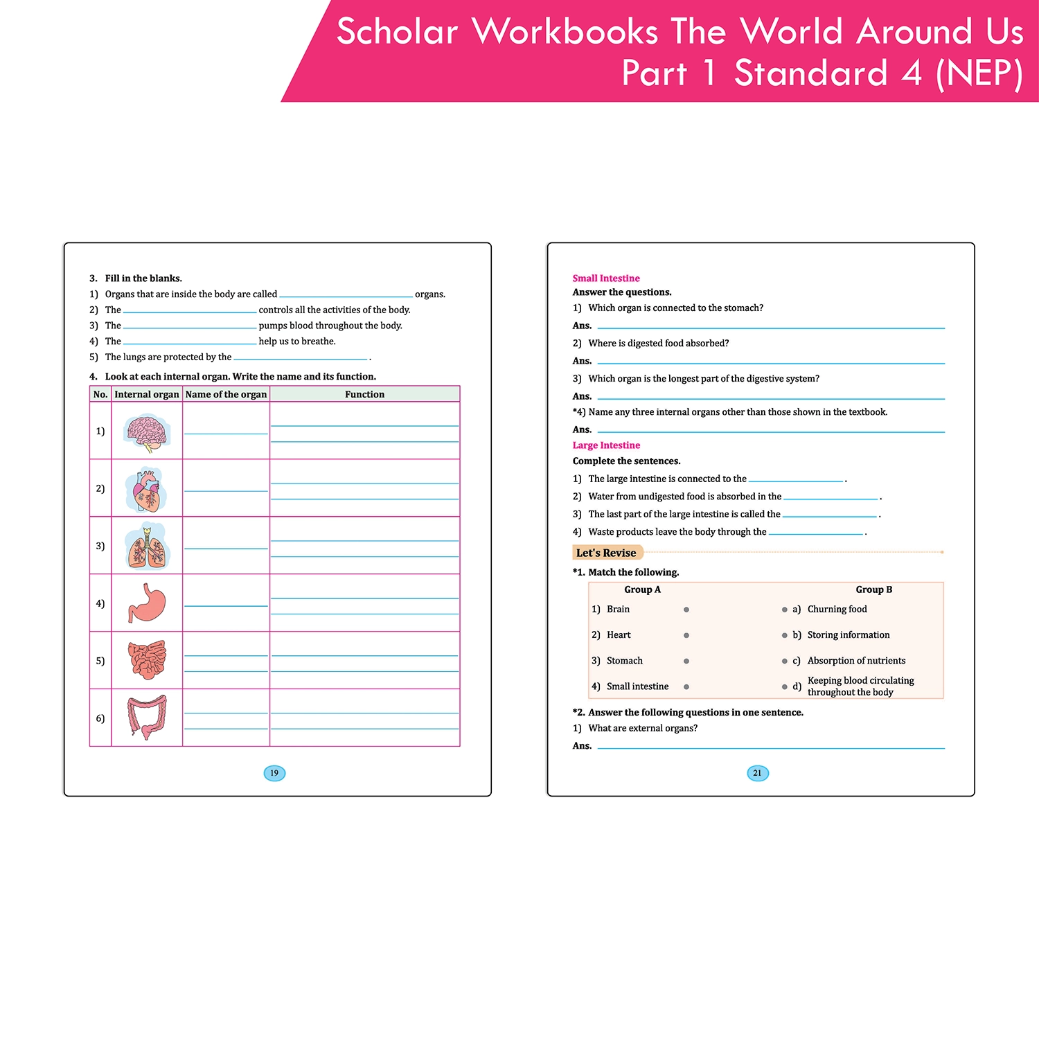 Scholar Workbooks Environmental Studies (EVS) The World Around Us Part 1 - Standard - 4 (NEP 2020 and SCF-FS 2024) - Image 6