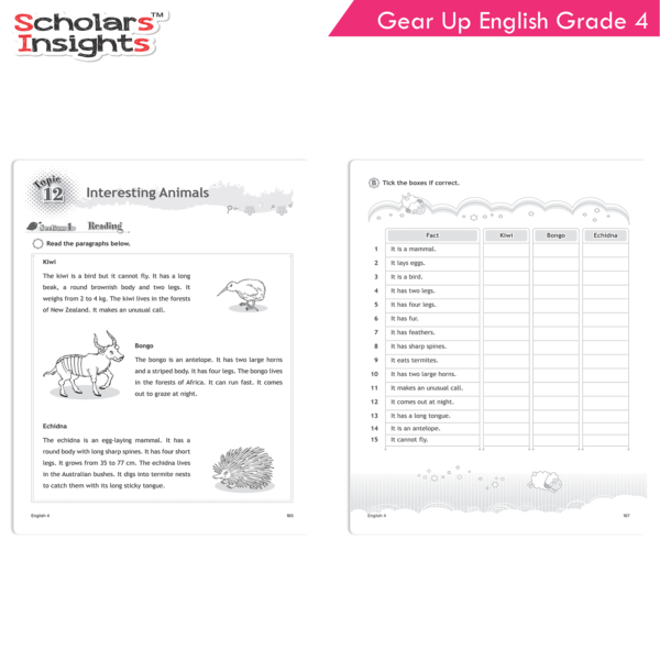 Scholars Insights Gear Up English Grade 4 - Image 5