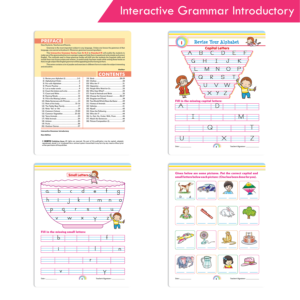 Interactive Grammar Introductory