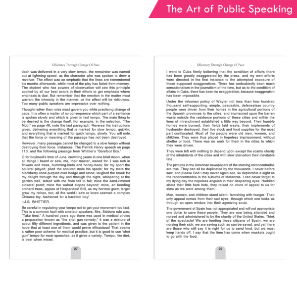 Insight Press - The Art of Public Speaking - Image 8