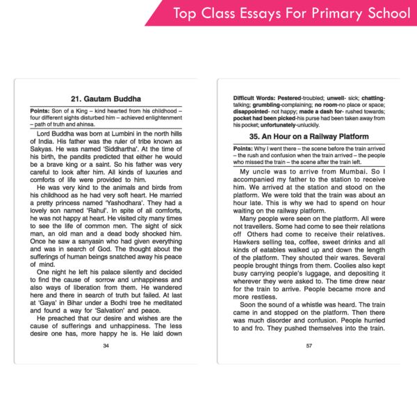 Top Class Essays for Primary School - Image 7