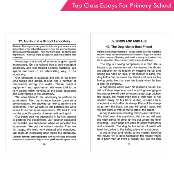 Top Class Essays for Primary School - Image 8
